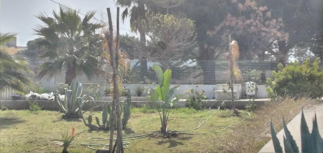 סן פייטרו אין בוואניה Villa Marina מראה חיצוני תמונה
